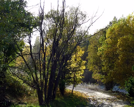 PXL027 Chemin au bord du Guil