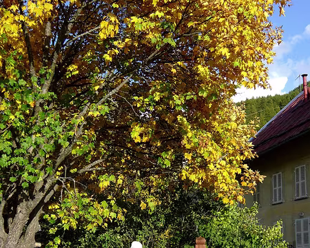 PXL028 Patrick près du gîte à Ville Vieille