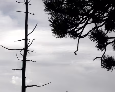 PXL037 Pointe de Rasis