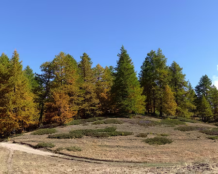 006 Le Sommet Bucher n'est pas loin...