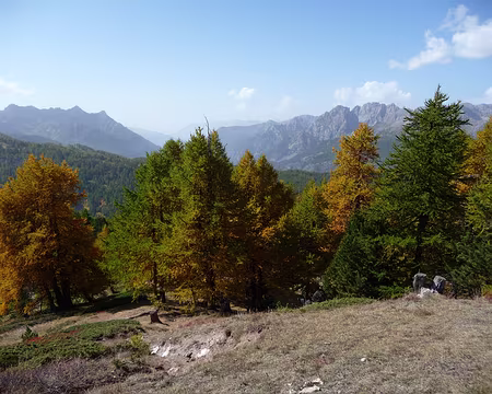 009 Vue du Sommet Bucher