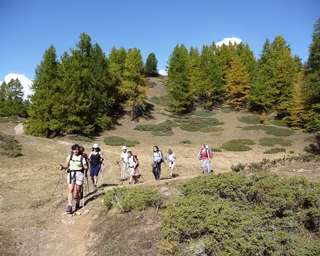 013 Descente vers le Col des Prés de Fromage