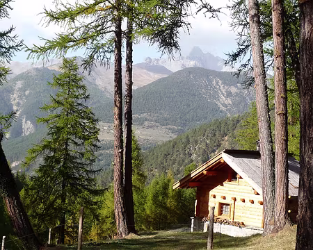 021 Petit chalet au Pré Premier