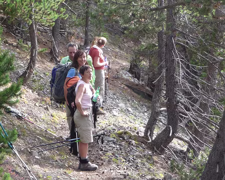 029 Pause technique...