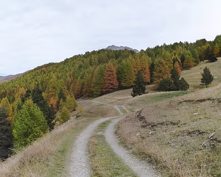 039 Vue à la Bergerie de Péas