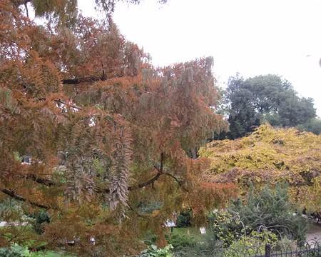 PXL000 En attendant...le train, visite du jardin des plantes