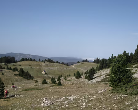 PXL020 Cabane de la Jasse du Play