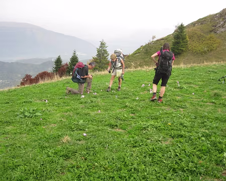 PXL064 Capture photographique de colchiques au Col du Serpaton