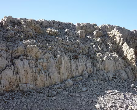 P1050104 chercher la bête...