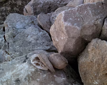 P1050117 Au sommet du Grand Veymont