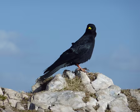 P1050119 Au sommet du Grand Veymont