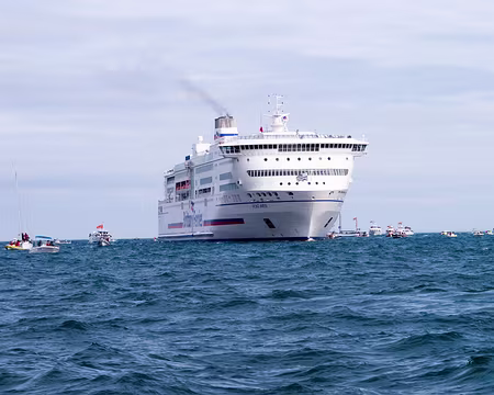 11RW06-18 Ne klaxonne pas, on t’as vu