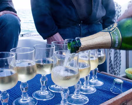 11RW06-29 Des bulles dans le rhum ?