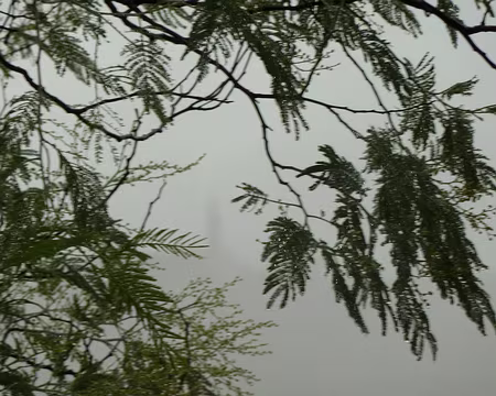 PXL004 Ambiance, ambiance...ce n'est qu'un début,continuons la... rando !