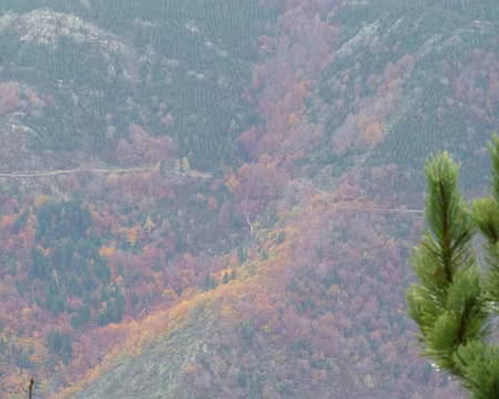 PXL024 Couleurs d'automne