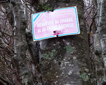 PXL025 Nature et affichage