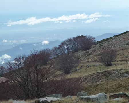 PXL035 Hallucinationou Ciel Bleu ??