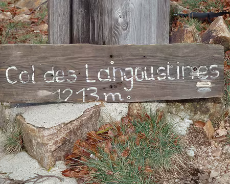 PXL036 Sans Vin Blancet sans Mayonnaise !!