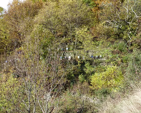 PXL043 Bucolique et pastoral