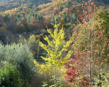 PXL046 Couleurs magnifiques