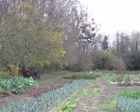 PXL004 Potagers à Cerny