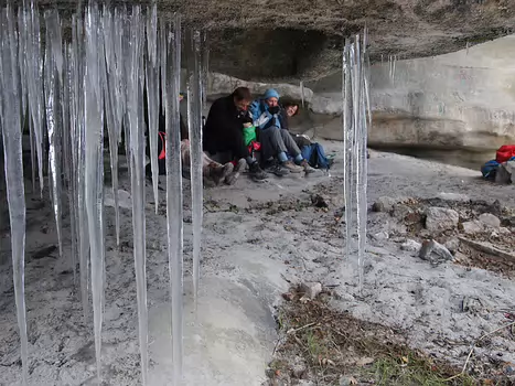 2010-12 Fontainebleau - Elephant