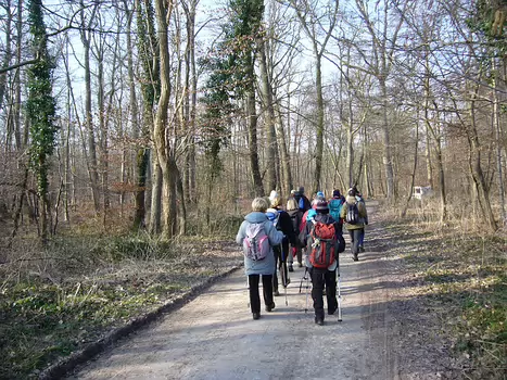 2011-03 Fontainebleau - Moret