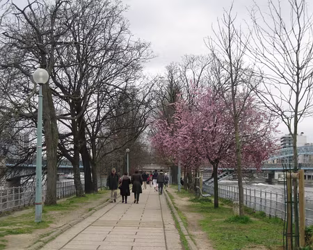 PXL085 Allé&e des Cygnes