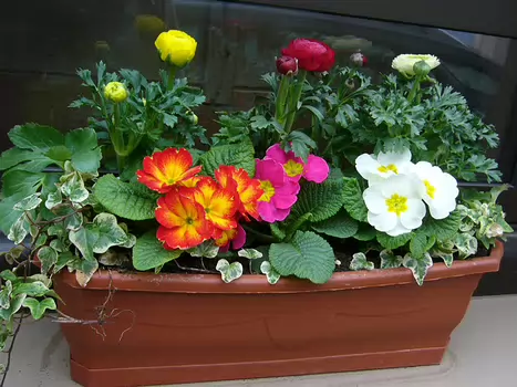 2011-03 Mareil-sur-Mauldre