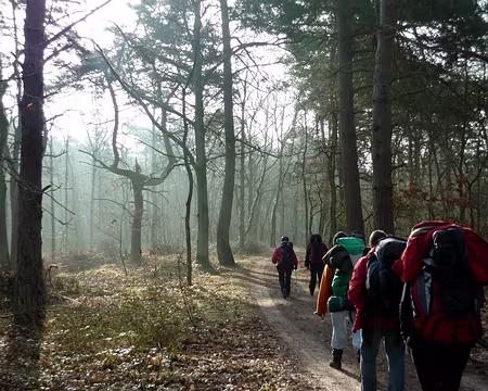 PXL031 On the road again