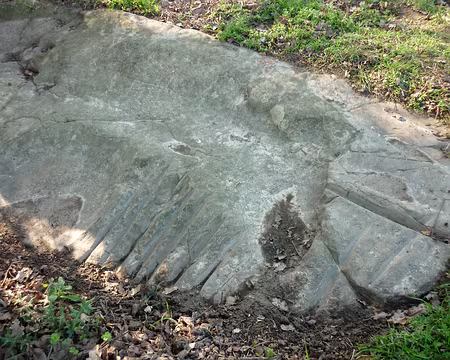 PXL041 polissoir : juste une grande pierre au coin d'un champ