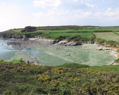 067 Algues vertes, anse de Ty Mark