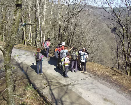 PXL024 Option Rocher