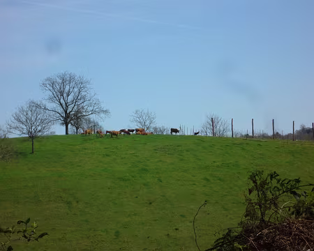 PXL052 Déjeuner pour tous.