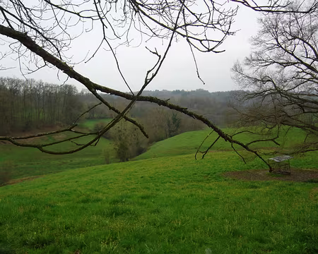 PXL103 Vallon et prés. Désolée, dernière photo faute de piles!!