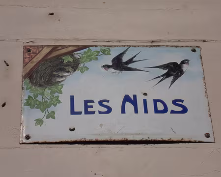 PXL005 Hirondelles de notre dimanche printanier