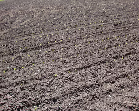 PXL037 A nouveau sur le plateau