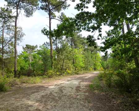 PXL010 Hey, attendez-moi, je plaisantais ...