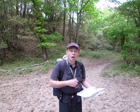 PXL014 Z'avez pas vu 2 ptits sacs un peu rondouillards, ma femme va m'assassiner, je devais les surveiller ...