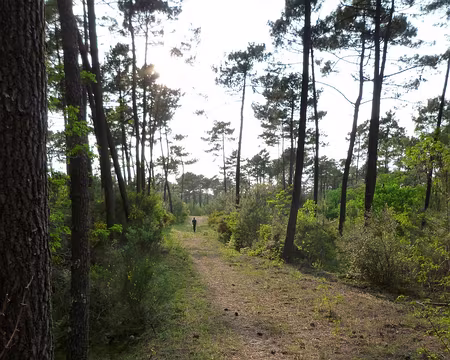 PXL015 Ne m'attendez pas, je pars à leur recherche, je vous rejoins pour le bivouac