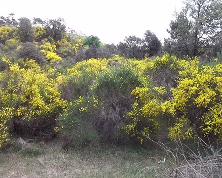 PXL031 ze me souviens plus du nom mais c'était drôlement zouli !