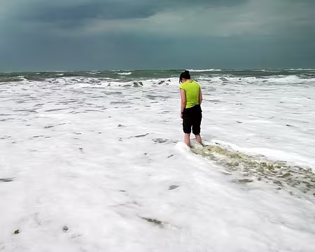 PXL039 Myrtille ose !