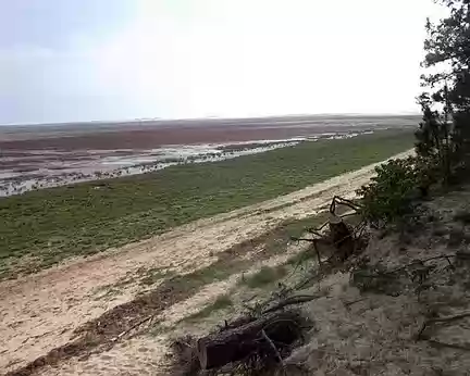 PXL052 la baie de Bonne-Anse à marée basse