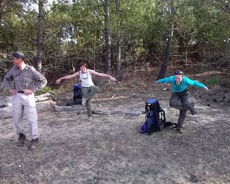 PXL062 Flamands roses !