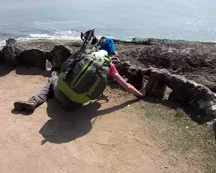 PXL100 Arrrgghh, toujours à se trainer par terre !