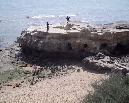 PXL104 Même pas cap ...