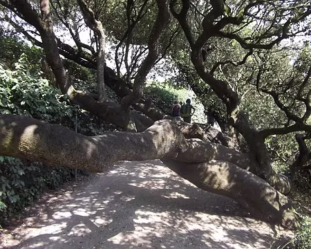 PXL106 Le sentier des Conches