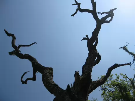 2011-04 La Ferte Alais