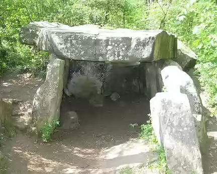 PXL019 Pierre levée de Janville- sur- Juine, dolmen en grès composé de 9 mégalithes soutenant une dalle de 15 tonnes environ.