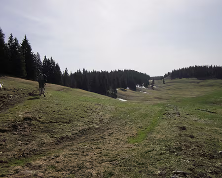 PXL006 Au bout de cette prairie, le refuge des électriciens...